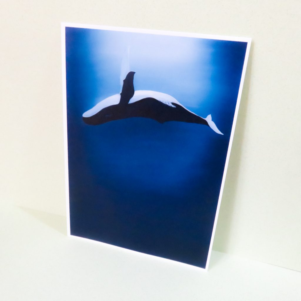 whale fall post card