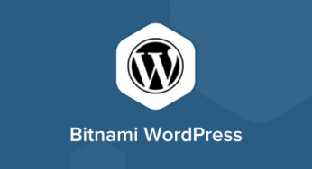[AWS] 去除Bitnami manage logo in wordpress