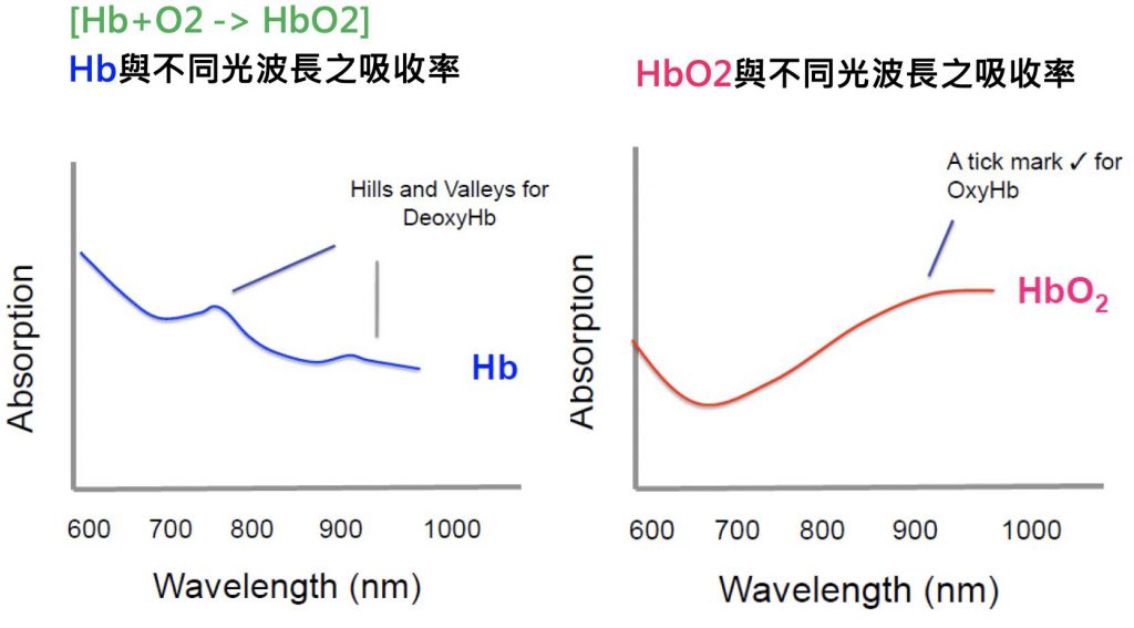HbHbO2光吸收率