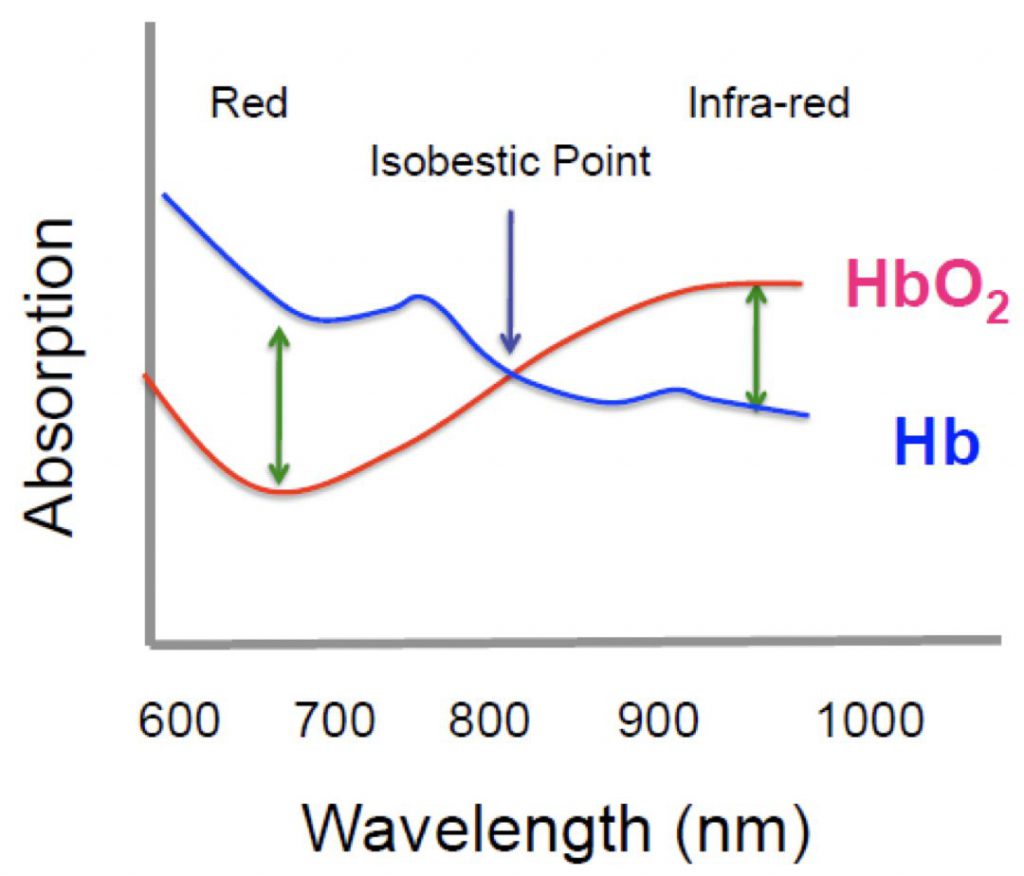 HbHbO2光吸收率比較